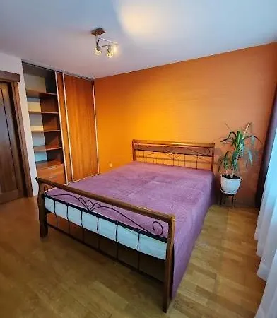 Apartment Vidas Kaunas