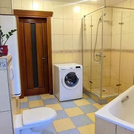 Vidas Kaunas